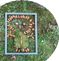 Exemple de land art réalisé avec des éléments naturels